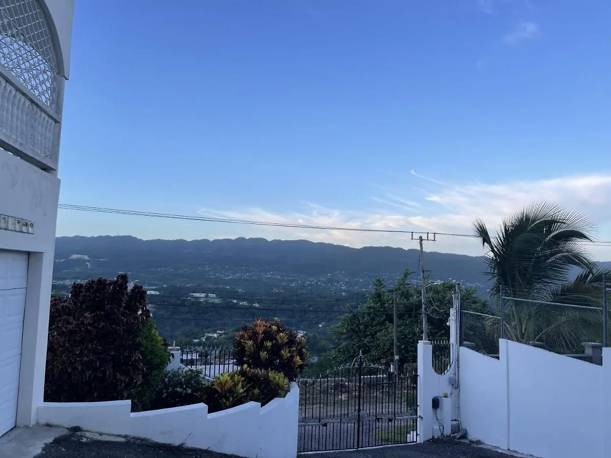 Skyline Suites, Queen, Ocean Views Condo Montego Bay 0*,